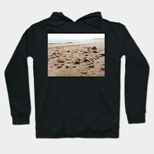 Seashell bed Hoodie